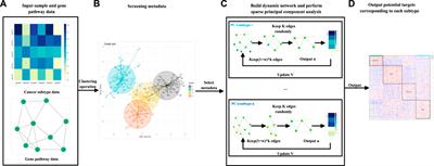 Dynamic Meta-data Network Sparse PCA for Cancer Subtype Biomarker Screening